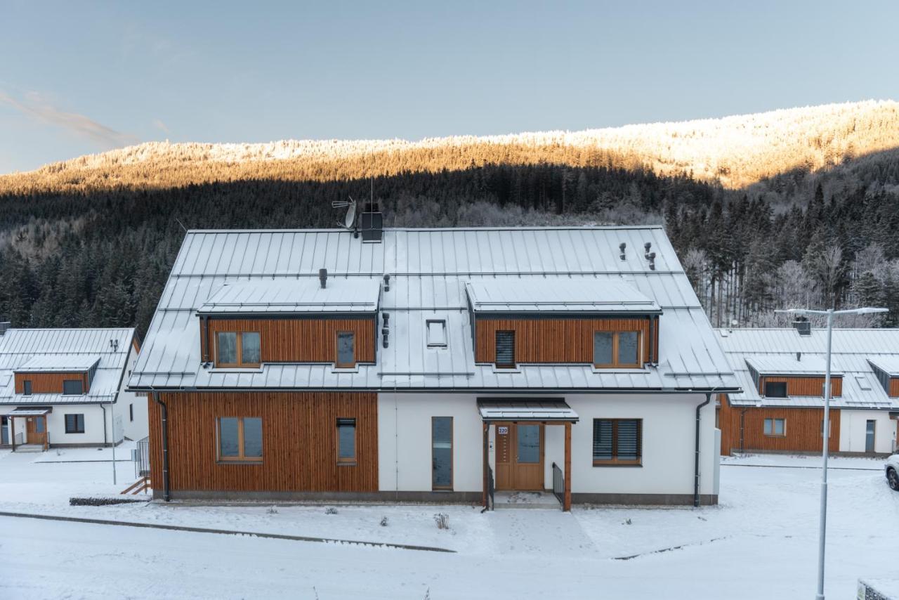 Apartman Pod Sneznikem Долни-Морава Экстерьер фото